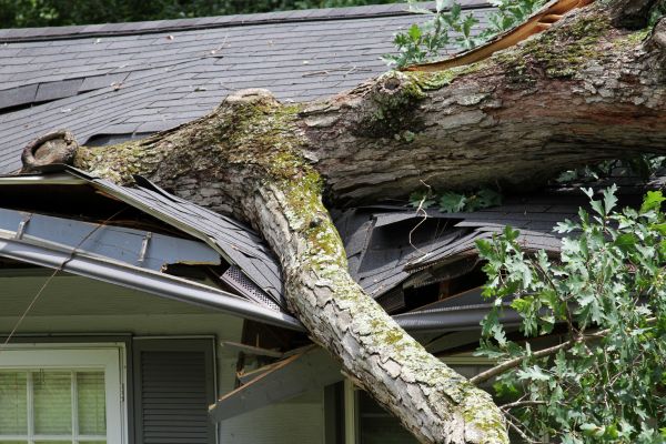 Storm Remediation in Denton