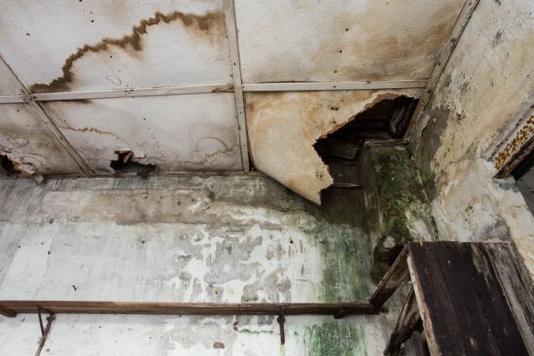 Water Damage Service in Denton