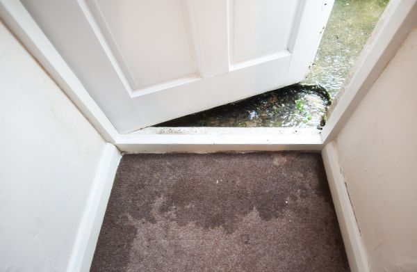 Wet Carpet Restoration in Denton