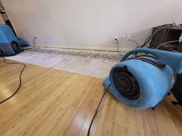 Water Damage Mitigation in Denton