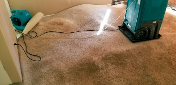 Flood Damage Cleanup in Denton