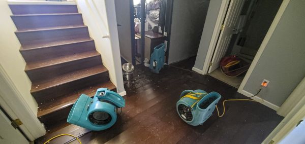Water Damage Remediation in Denton