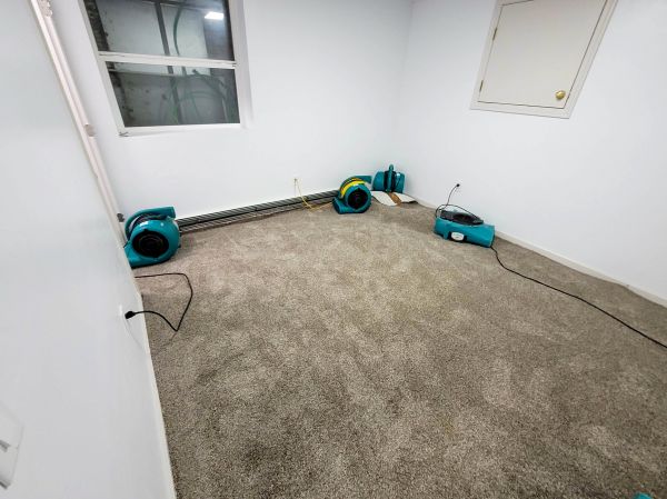 Flood Restoration Service in Denton