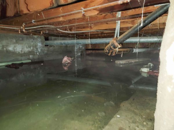 Water Mitigation Service in Denton